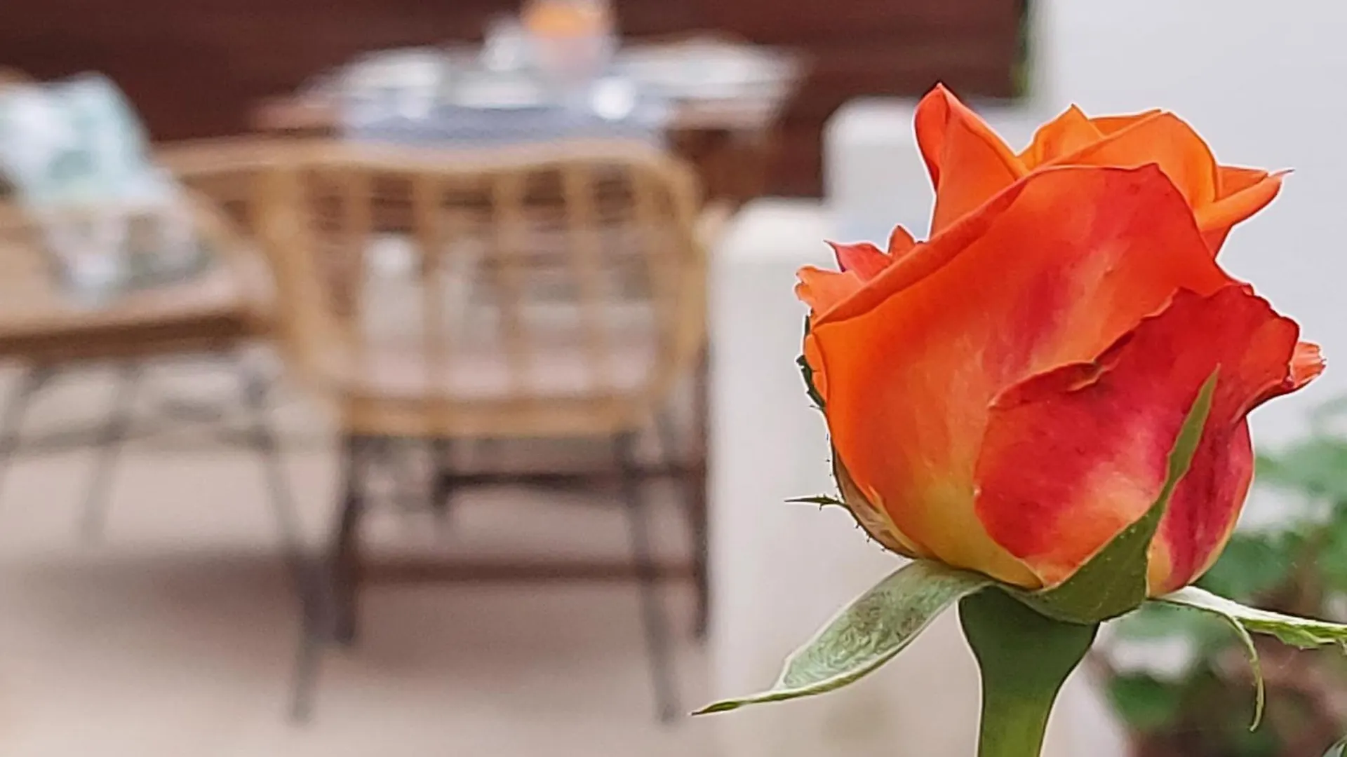 팔레르모 Casa Al Giardino 아파트