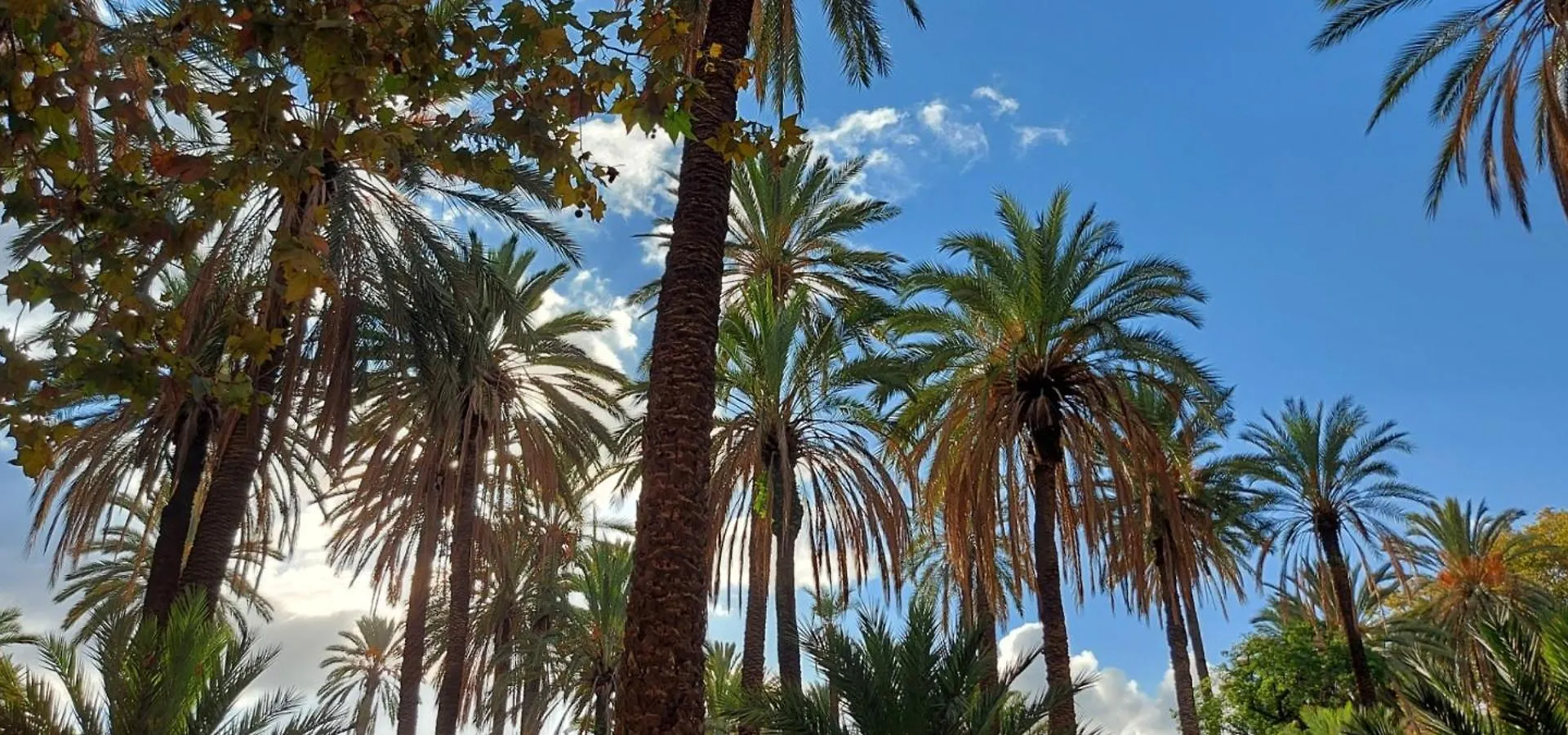 Casa Al Giardino Apartment Palermo